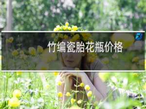 竹编瓷胎花瓶价格