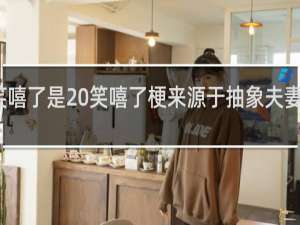 笑嘻了是 笑嘻了梗来源于抽象夫妻什么梗