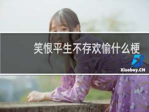 笑恨平生不存欢愉什么梗