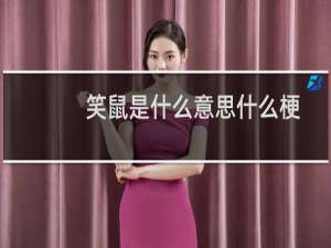 笑鼠是什么意思什么梗