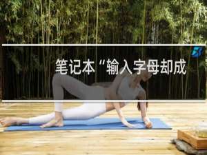 笔记本“输入字母却成数字”，怎么解决？