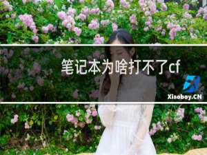 笔记本为啥打不了cf