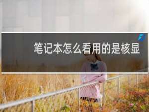 笔记本怎么看用的是核显还是独显