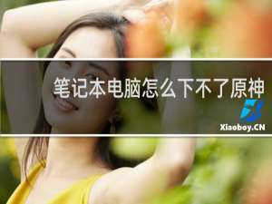 笔记本电脑怎么下不了原神