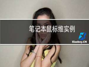 笔记本鼠标维实例