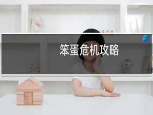 笨蛋危机攻略