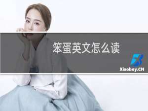 笨蛋英文怎么读