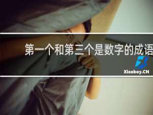 第一个和第三个是数字的成语