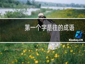 第一个字是往的成语
