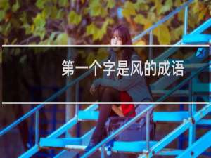 第一个字是风的成语