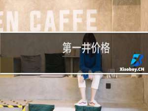 第一井价格