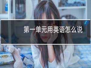 第一单元用英语怎么说