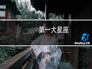 第一大星座