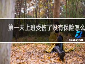 第一天上班受伤了没有保险怎么办