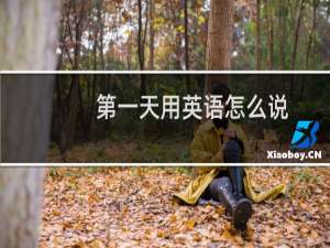 第一天用英语怎么说