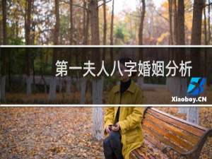 第一夫人八字婚姻分析