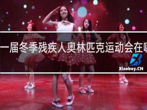 第一届冬季残疾人奥林匹克运动会在哪年举行