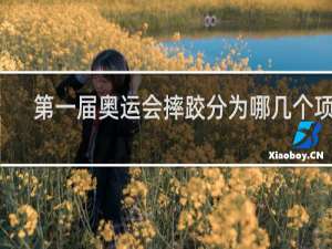 第一届奥运会摔跤分为哪几个项目