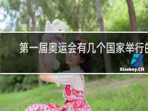 第一届奥运会有几个国家举行的