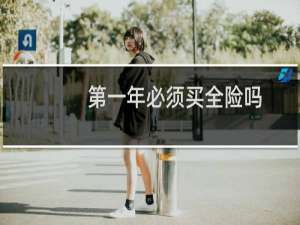 第一年必须买全险吗