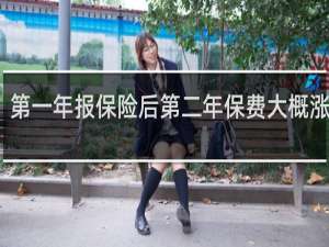 第一年报保险后第二年保费大概涨多少
