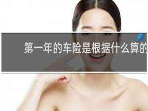 第一年的车险是根据什么算的