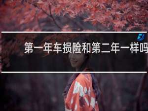 第一年车损险和第二年一样吗