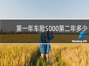 第一年车险5000第二年多少