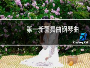 第一新疆舞曲钢琴曲