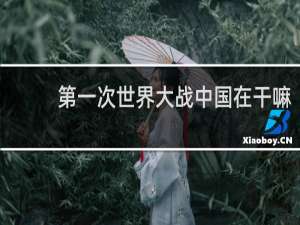 第一次世界大战中国在干嘛