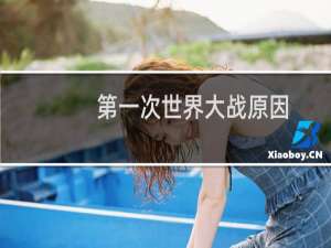 第一次世界大战原因