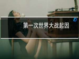 第一次世界大战起因