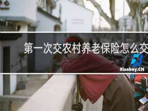 第一次交农村养老保险怎么交