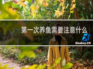 第一次养鱼需要注意什么