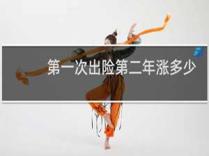 第一次出险第二年涨多少