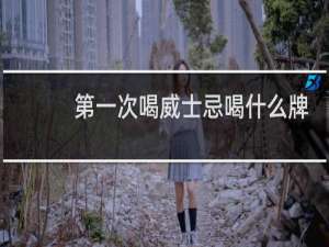 第一次喝威士忌喝什么牌子