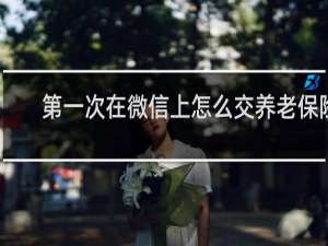 第一次在微信上怎么交养老保险