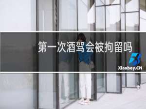 第一次酒驾会被拘留吗