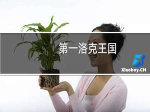 第一洛克王国