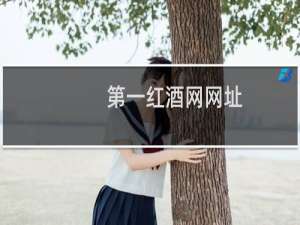 第一红酒网网址