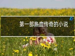 第一部热血传奇的小说