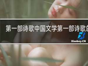 第一部诗歌中国文学第一部诗歌总集