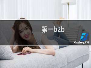 第一b2b