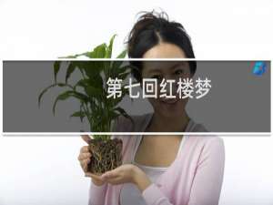 第七回红楼梦