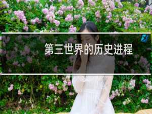 第三世界的历史进程