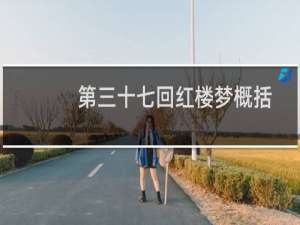 第三十七回红楼梦概括