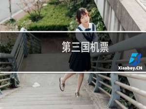 第三国机票