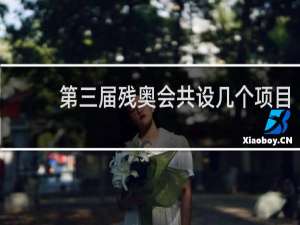 第三届残奥会共设几个项目