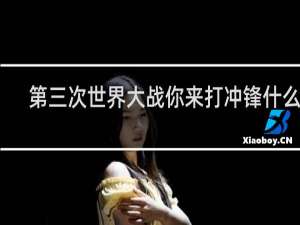 第三次世界大战你来打冲锋什么梗