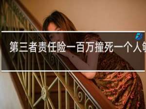 第三者责任险一百万撞死一个人够吗